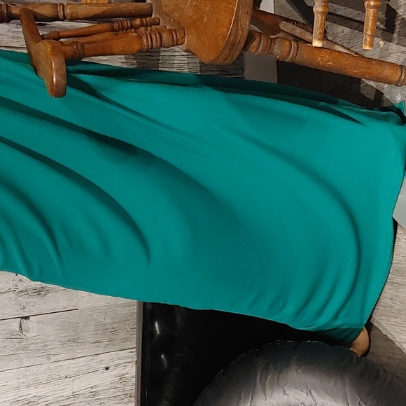 BCBG Maxazria Gown Sz. Lg - Picture 5 of 7